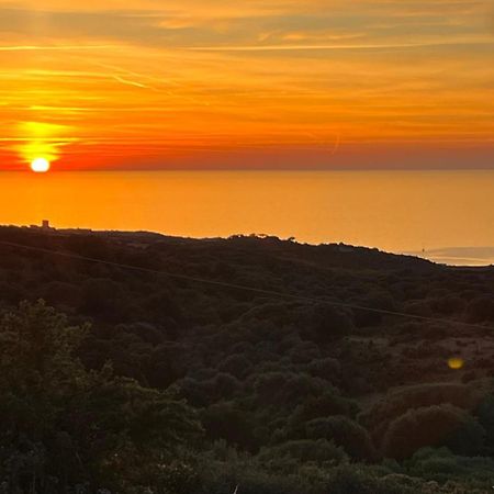 Isola Rossa Appartamenti Paduledda Buitenkant foto