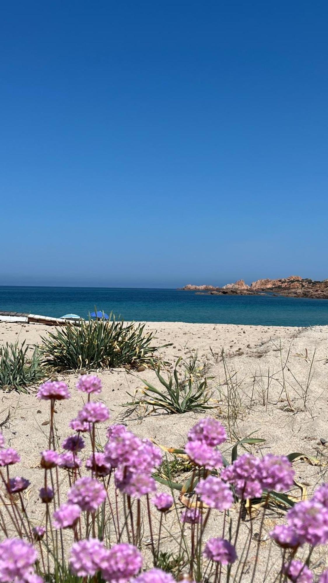 Isola Rossa Appartamenti Paduledda Buitenkant foto