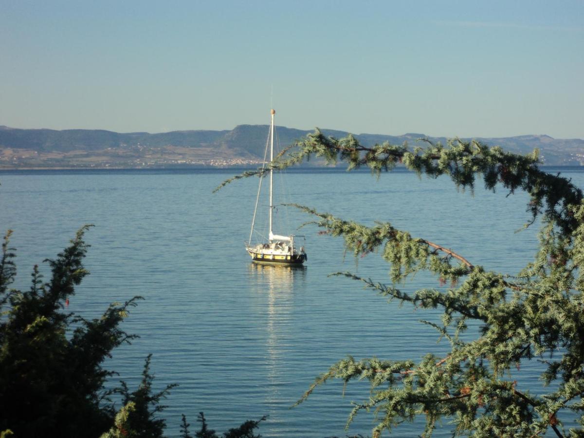 Isola Rossa Appartamenti Paduledda Kamer foto